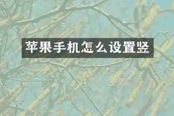 苹果手机怎么设置竖
