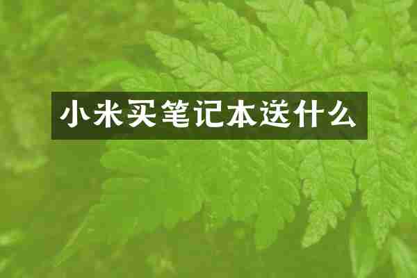 小米买笔记本送什么