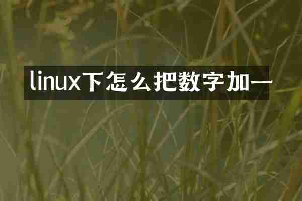 linux下怎么把数字加一