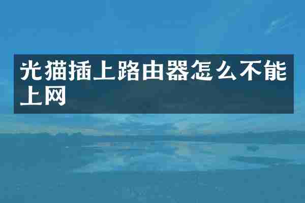 光猫插上路由器怎么不能上网
