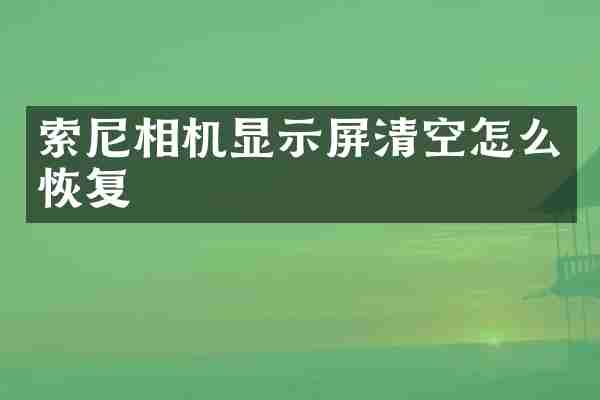 索尼相机显示屏清空怎么恢复