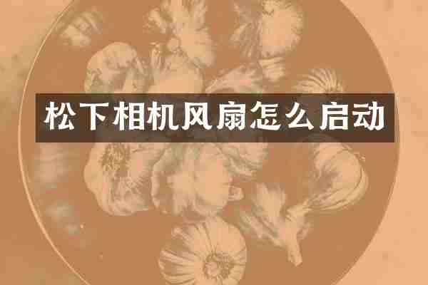 松下相机风扇怎么启动