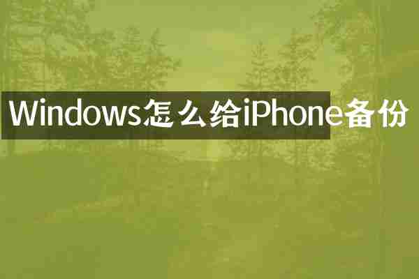 Windows怎么给iPhone备份