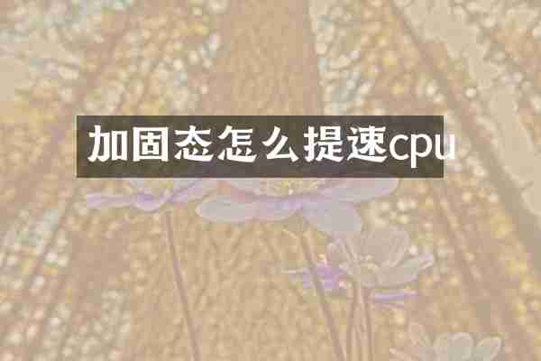 加固态怎么提速cpu