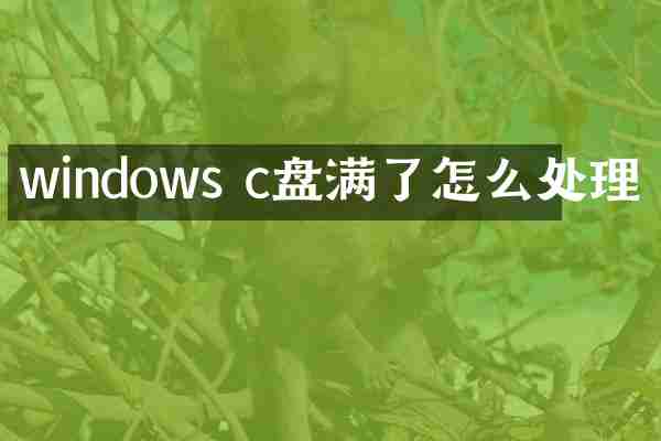 windows c盘满了怎么处理
