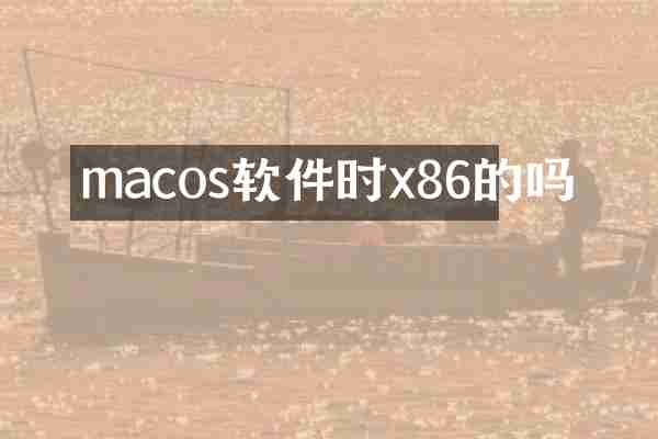 macos软件时x86的吗