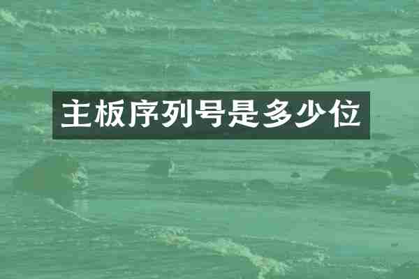 主板序列号是多少位