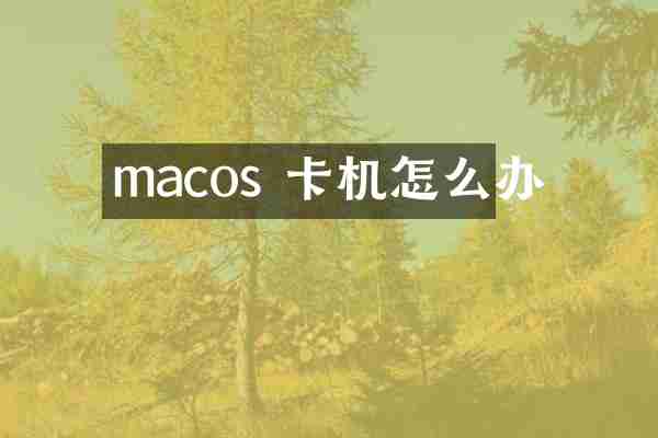 macos 卡机怎么办