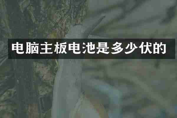 电脑主板电池是多少伏的