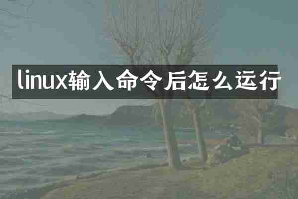 linux输入命令后怎么运行