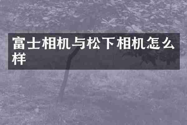 富士相机与松下相机怎么样