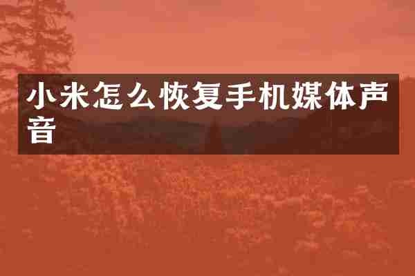 小米怎么恢复手机媒体声音