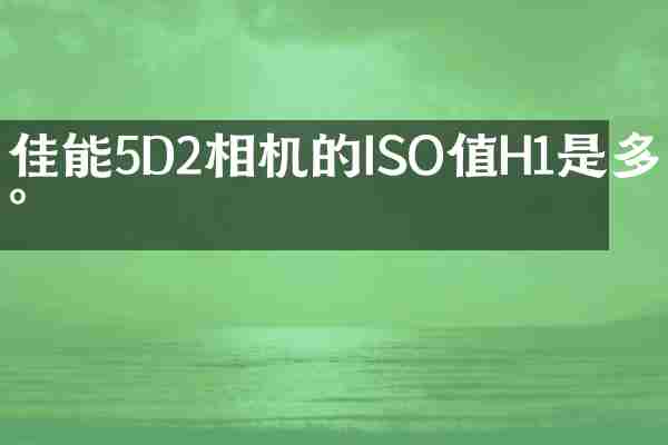 佳能5D2相机的ISO值H1是多少