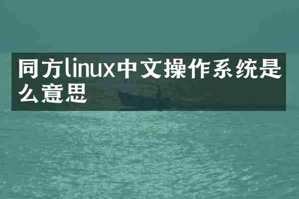同方linux中文操作系统是什么意思