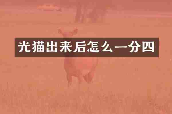 光猫出来后怎么一分四