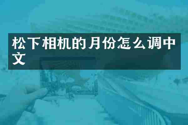 松下相机的月份怎么调中文
