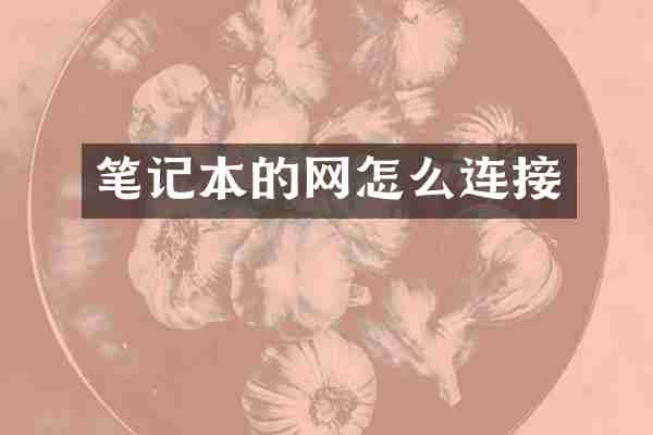笔记本的网怎么连接