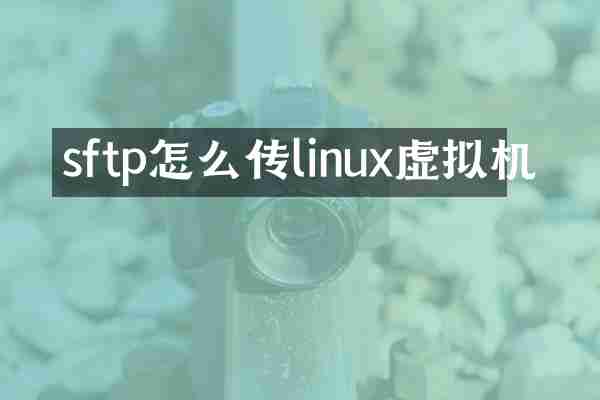 sftp怎么传linux虚拟机