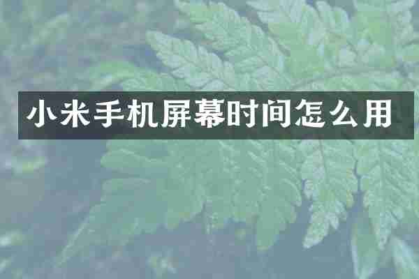 小米手机屏幕时间怎么用