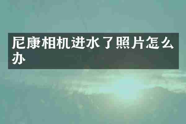 尼康相机进水了照片怎么办