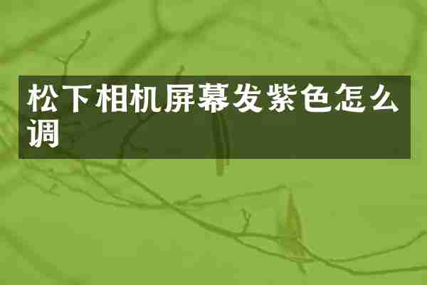 松下相机屏幕发紫色怎么调