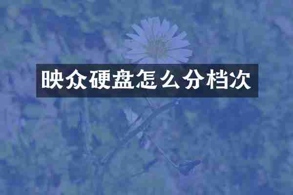 映众硬盘怎么分档次
