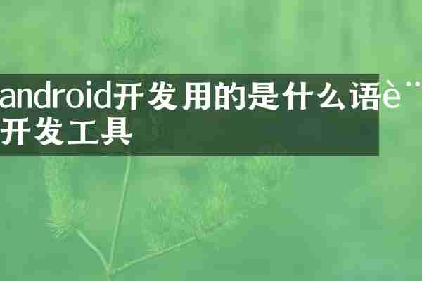 android开发用的是什么语言开发工具