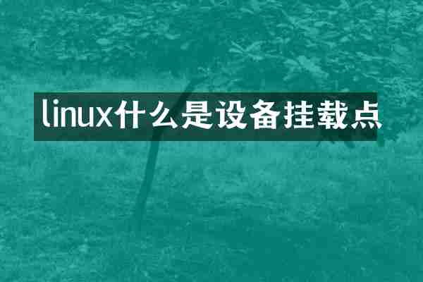 linux什么是设备挂载点