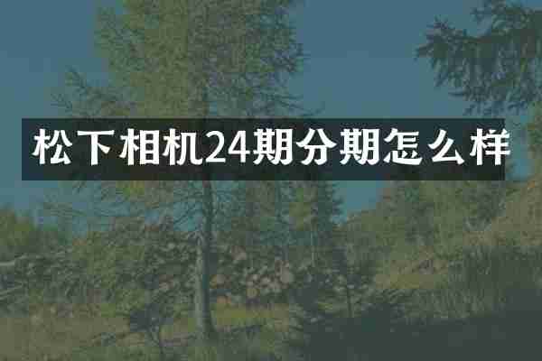 相机24期分期怎么样