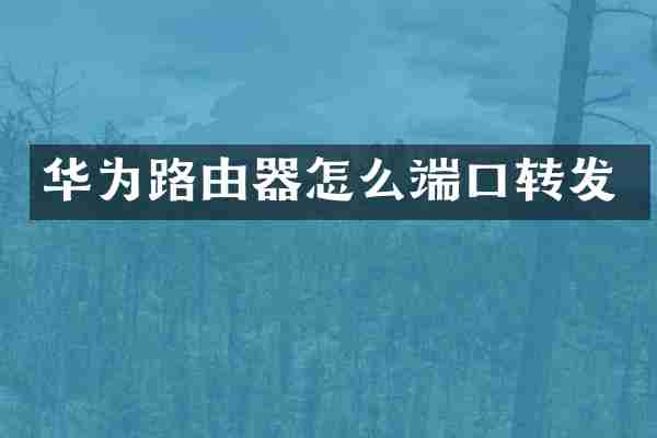 华为路由器怎么端口转发