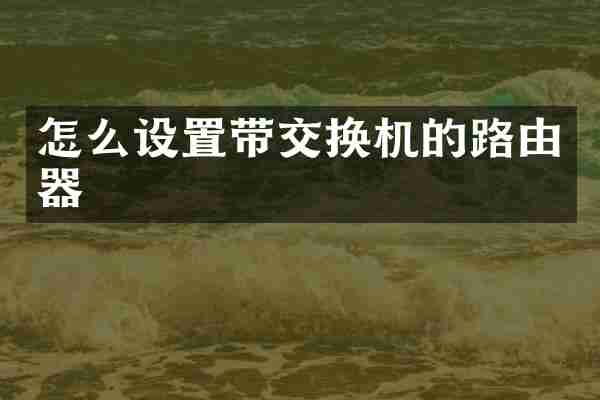 怎么设置带交换机的路由器