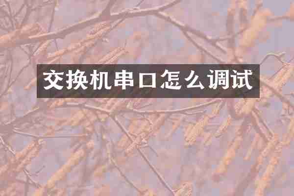 交换机串口怎么调试