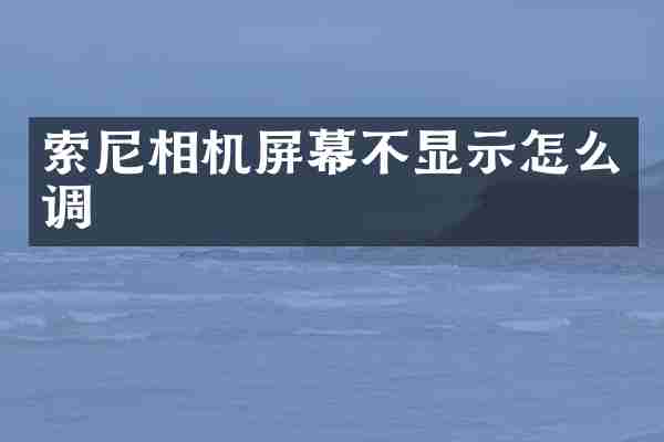索尼相机屏幕不显示怎么调