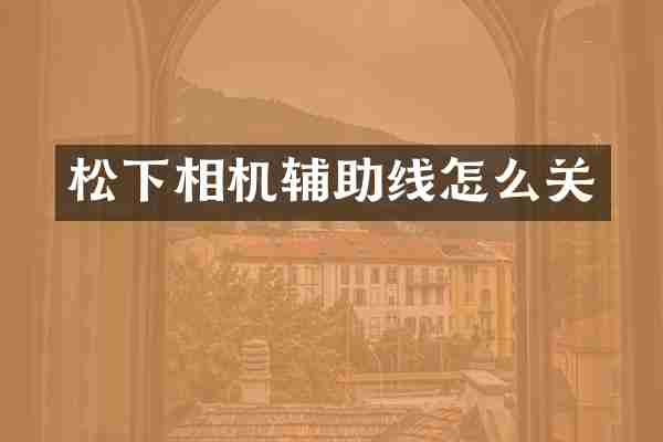 相机辅助线怎么关