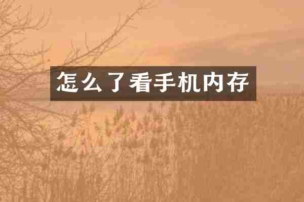 怎么了看手机内存