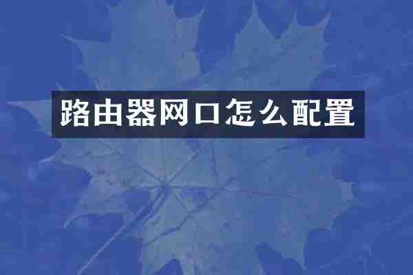 路由器网口怎么配置