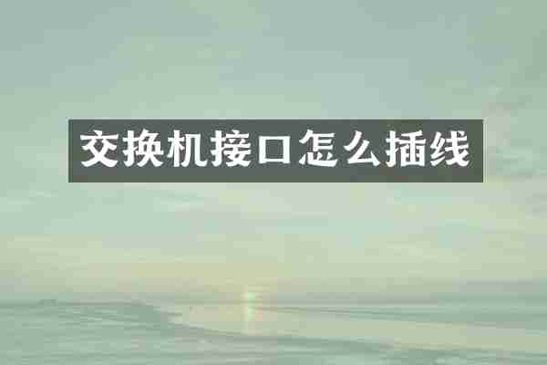 交换机接口怎么插线