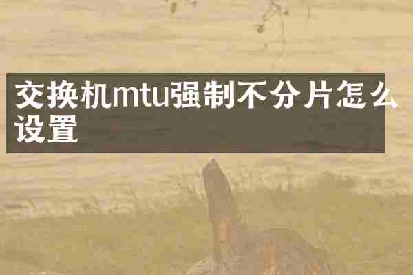 交换机mtu强制不分片怎么设置