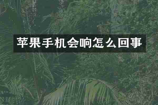苹果手机会响怎么回事