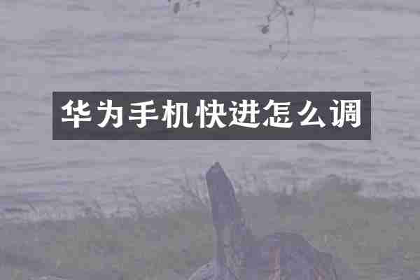 华为手机快进怎么调