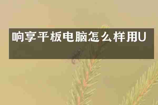 响享平板电脑怎么样用U盘