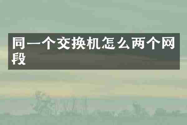同一个交换机怎么两个网段
