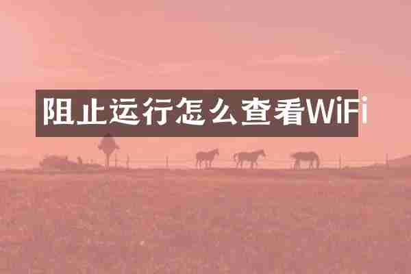 阻止运行怎么查看WiFi