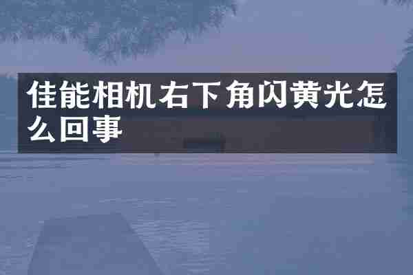 佳能相机右下角闪黄光怎么回事