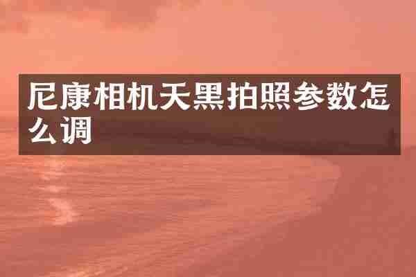 尼康相机天黑拍照参数怎么调