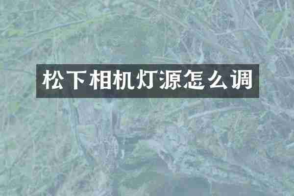 相机灯源怎么调