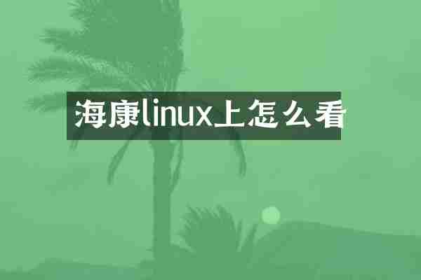 海康linux上怎么看