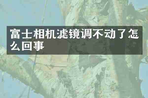富士相机滤镜调不动了怎么回事