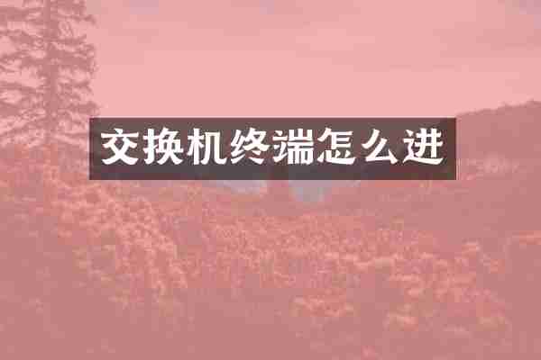 交换机终端怎么进