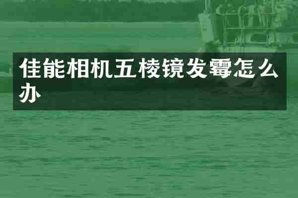 佳能相机五棱镜发霉怎么办